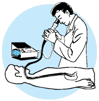 Endoskop